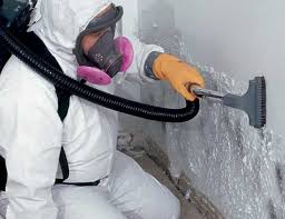 Best Forensic Mold Investigation  in Rochelle, GA